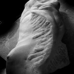 torso-mano marmo bianco di carrara 2010 20x20x45 (2)